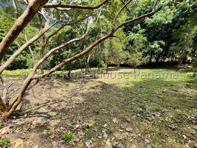 Beautiful Lot- Lote en Altos de María, Panamá